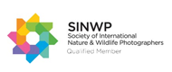 Society of International Nature and Wildlife Photographers